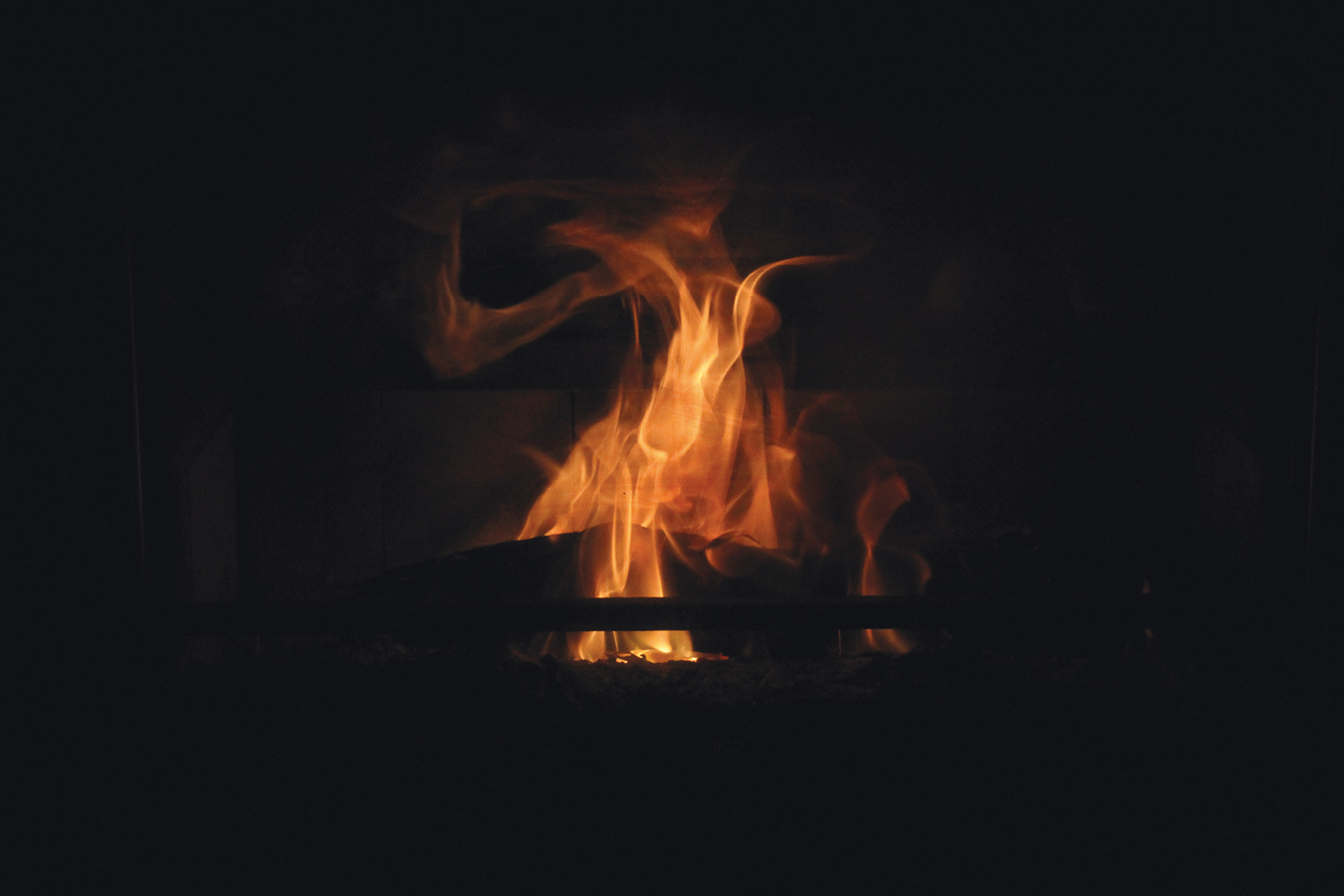 fleures de la rue da sata